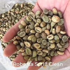 Hạt cà phê Greed từ Việt Nam