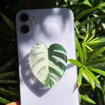 Rare Monstera Albo Variegated Plant Magnetic Cute Phone Grip