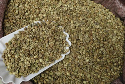Dak Nong Export-Grade Robusta Screen 18 Green Coffee Beans