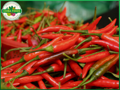 Vietnam Export Fresh Chili Peppers