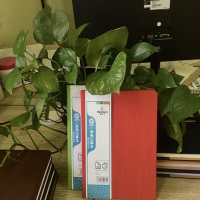 Leather Cover Notebook #3 (14.8×21.0cm, 200 Pages, 80gsm Anti-Glare Paper)