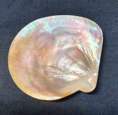 Yellow-Lip Mother-Of-Pearl Caviar Serving Plate