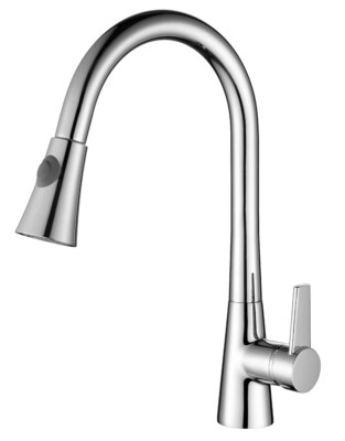 SELTA Retractable Spray Kitchen Faucet