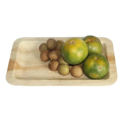 Rectangular Areca Palm Plate (Biodegradable, Natural Areca Sheath, 28×18×1.8cm)