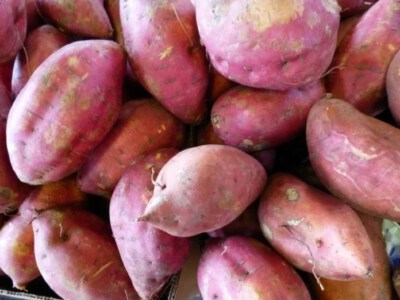 Vietnam Sweet Potato
