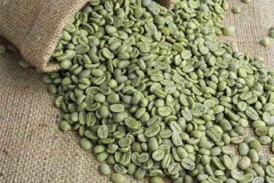 Vietnam Robusta Green Coffee Beans