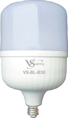 VS-BL-B LED Bulb Light with E27 Base
