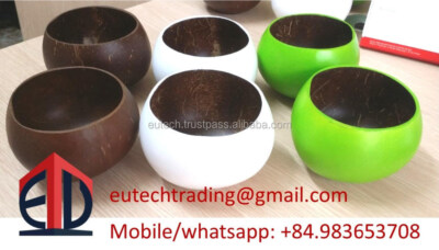 Vietnam Handmade Coconut Shell Serving Bowl & Saucer Set