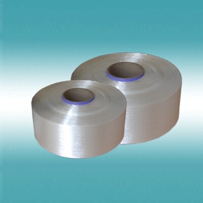 Polyester Webbing Yarn 550D