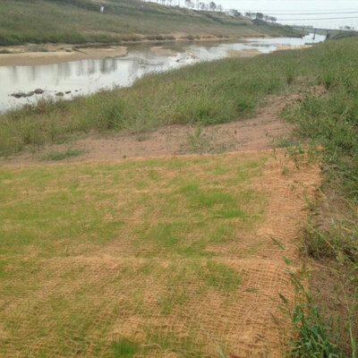 Coconut Coir Netting (Erosion Control Mat, Custom Mesh & Thickness, Bale-Compressed For Export)