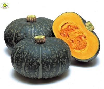 Fresh Delica Pumpkin