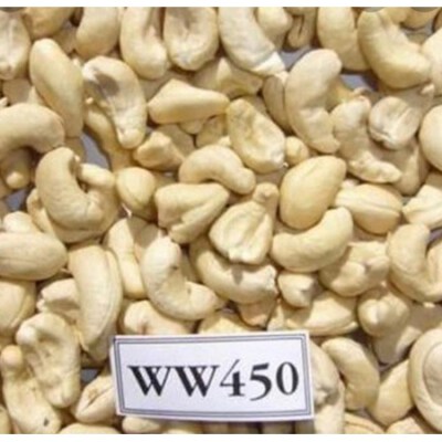 White Cashew Kernels WW450