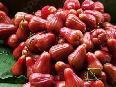 Mận Tươi