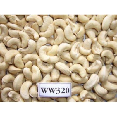 White Cashew Kernels WW320