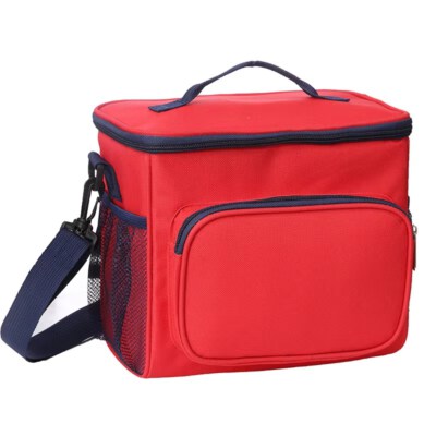 Outdoor Insulated Cooler Bag (600D Polyester, Water Resistant, Zipper Closure)