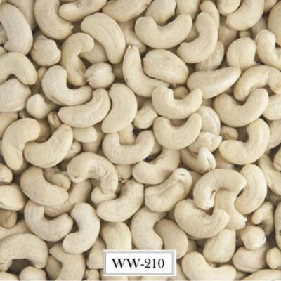 White Cashew Kernels WW210