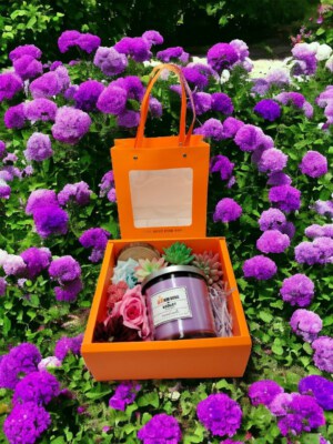 3-Wick Scented Candle (14 OZ / 400g, Violet Fragrance, Lead-Free Cotton Wicks)