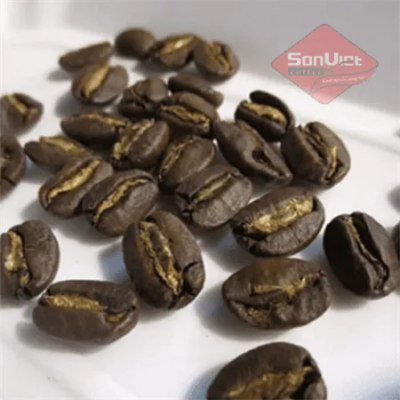 Bourbon Arabica Coffee