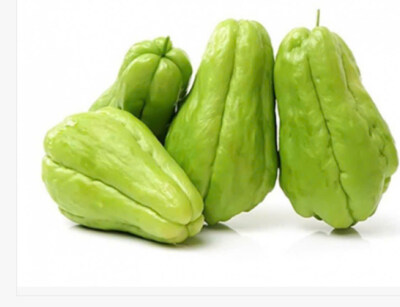 Bí Ngòi Tươi