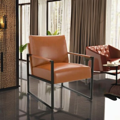 Zenith Accent Chair (Leather Upholstery, Steel Frame, Metal Legs, Foam Padding, Modern Leisure Design, Eco-Friendly)
