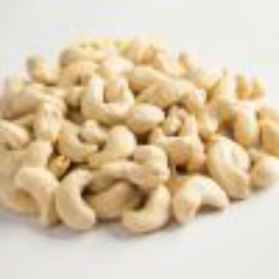 White Cashew Kernels WW240