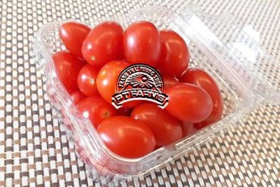 Organic Cherry Tomatoes