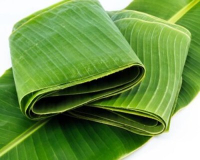 Frozen Banana Leaves (100% Vietnam Origin)