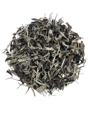 Ancient Shan Premium White Tea (Organic, 1 Bud & 1 Leaf)