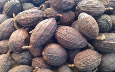 Round Cardamom Pods From Lao Cai (13.5% Moisture Max, 0.5% Admixture)