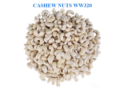 Cashew Kernels WW320