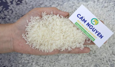 KDM High-Quality Fragrant Rice