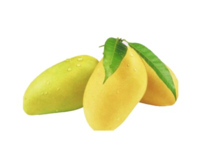 Hoa Loc & Cat Chu Fresh Mango