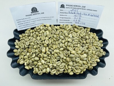Lam Dong Robusta Green Coffee Beans (Grade 1, Wet Polished, Cleaned)