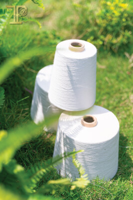 Vietnamese Ramie Visco Yarn 36Nm