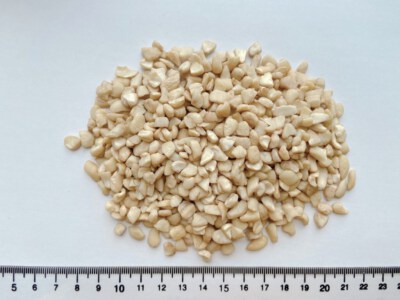Hạt Điều Trắng Nhỏ SP