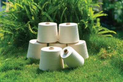 Vietnamese Ramie Tencel Yarn 36Nm