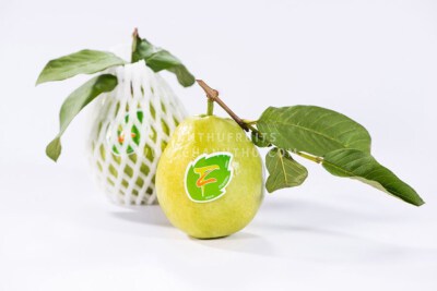 Ổi (Tươi)