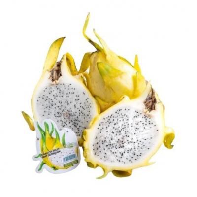 Golden Dragon Fruit