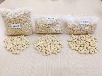 Whole White Cashew Kernels WW450