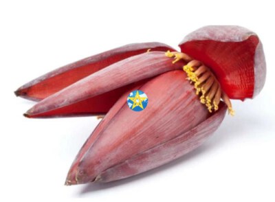 Fresh Banana Blossom