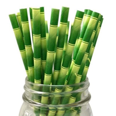 Bamboo Design Paper Straws