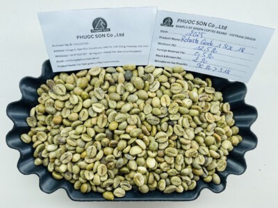 Lam Dong Robusta Green Coffee Beans (Grade 1 Commercial, R18 Predominant, 2% Black & Broken, Natural Dry Process)