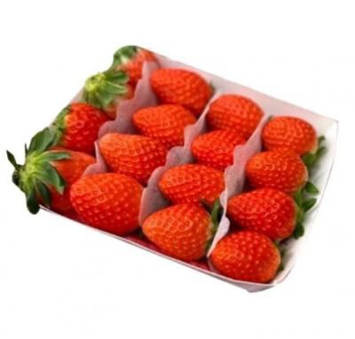Japanese-Variety Strawberries