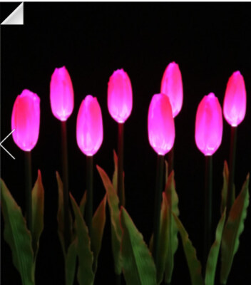 LED Tulip Flower Light (24V, IP67)
