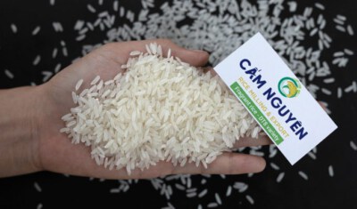 DT8 High-Quality Fragrant Rice