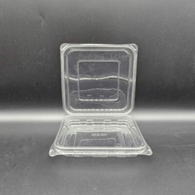 Deli D20 Clear PET Container (Deep Square, Hinged Snap-Lock Lid, Stackable, Display-Ready)