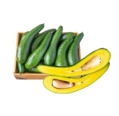 Dak Lak 034 Butter Avocado