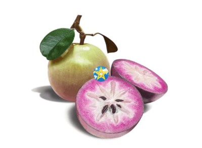 Fresh Star Apple