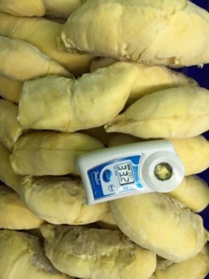 Frozen Durian