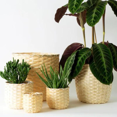 Bamboo Plant 010 Planter Basket Set (Handwoven Bamboo, Custom Size)